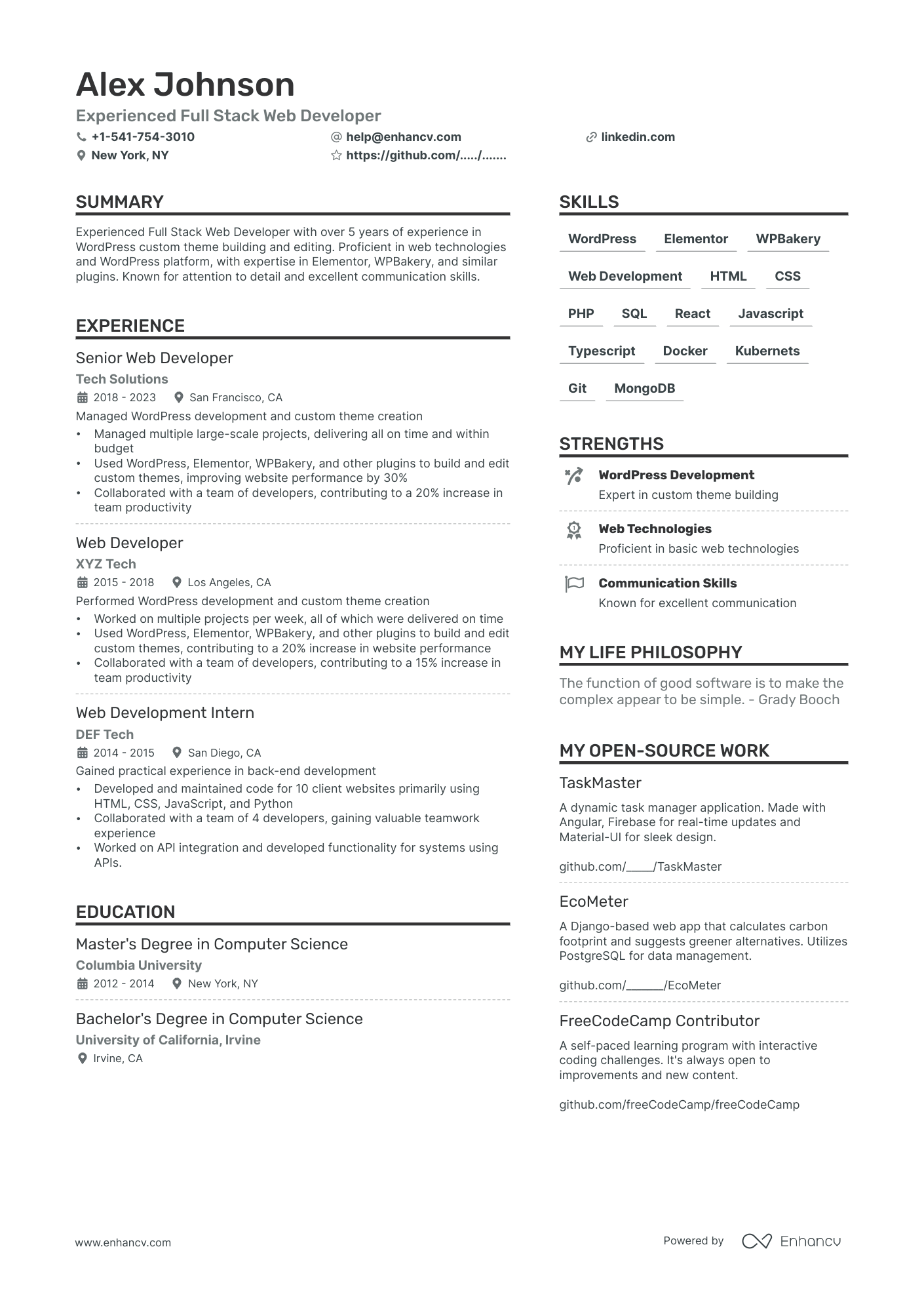Web Developer resume example