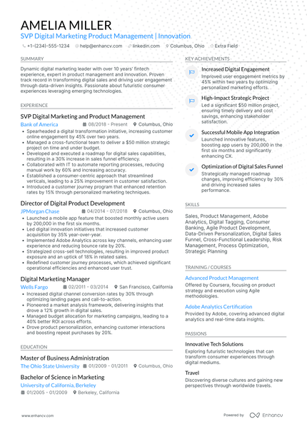 12 VP of Digital Marketing Resume Examples & Guide for 2026