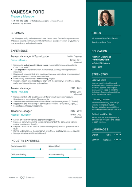 Treasury Manager Resume Examples & Guide For 2023 (layout, Skills 