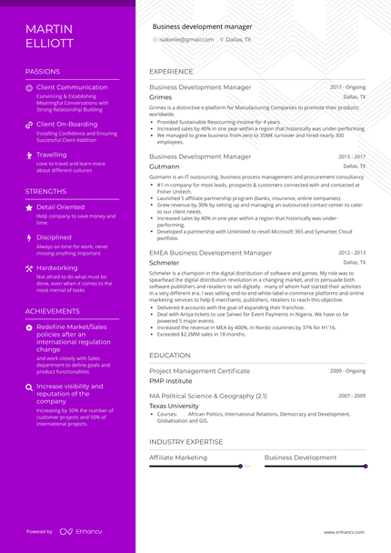 13 Business Development Resume Examples & Guide for 2024