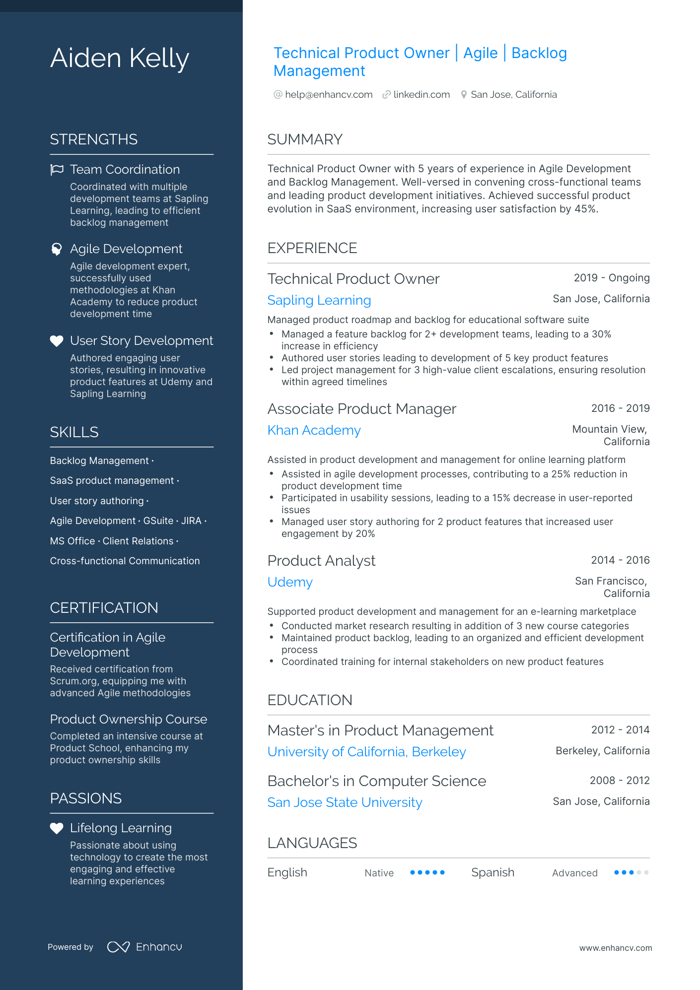 5 Technical Product Owner Resume Examples & Guide for 2024