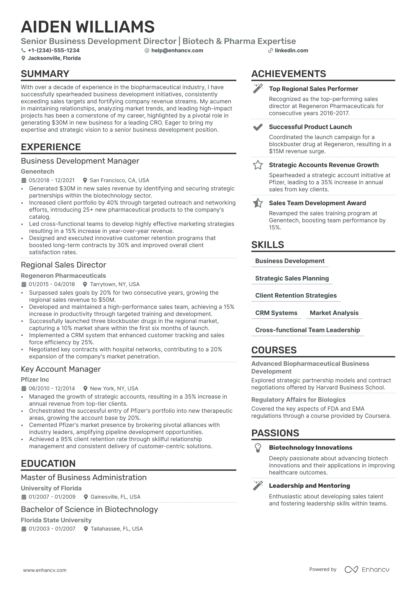 Director of Business Development resume example