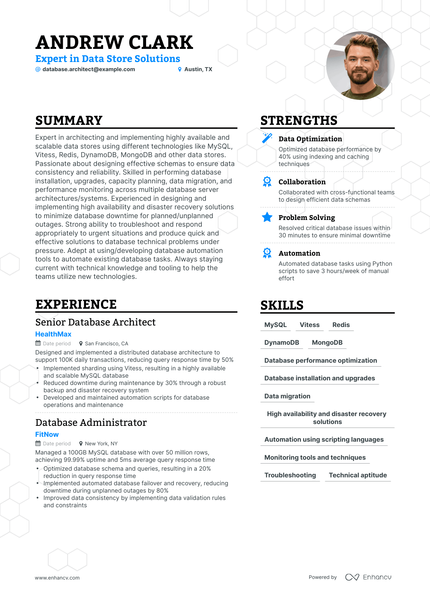 5 Database Architect Resume Examples & Guide for 2024