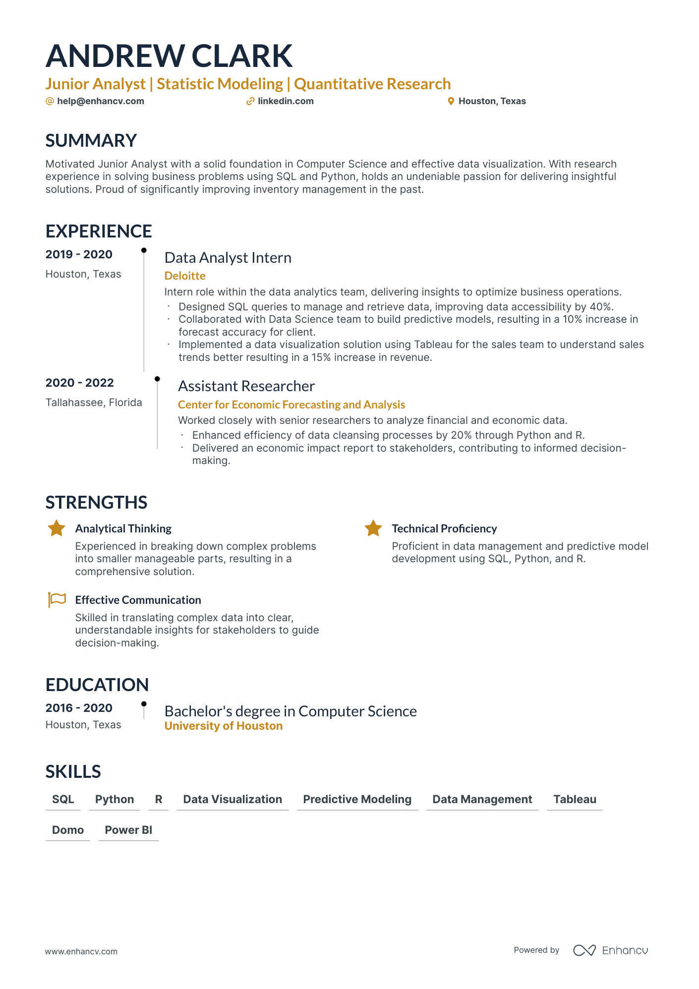 5 Junior Data Analyst Resume Examples & Guide for 2024