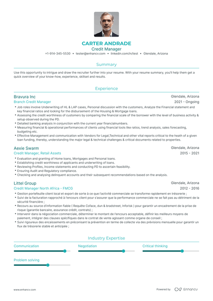 Credit Manager Resume Examples & Guide for 2023 (Layout, Skills ...