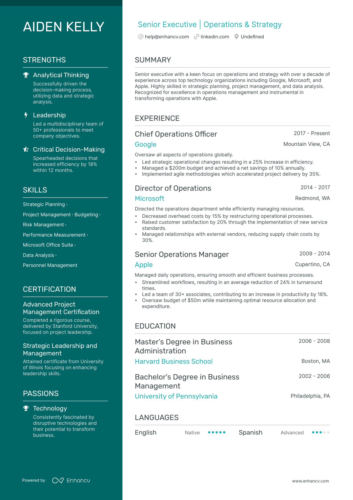 5 Board of Directors Resume Examples & Guide for 2024