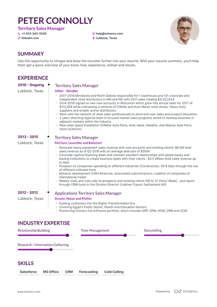 Territory Sales Manager Resume Examples & Guide for 2023 (Layout ...