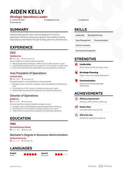 5 CEO Resume Examples & Guide for 2024