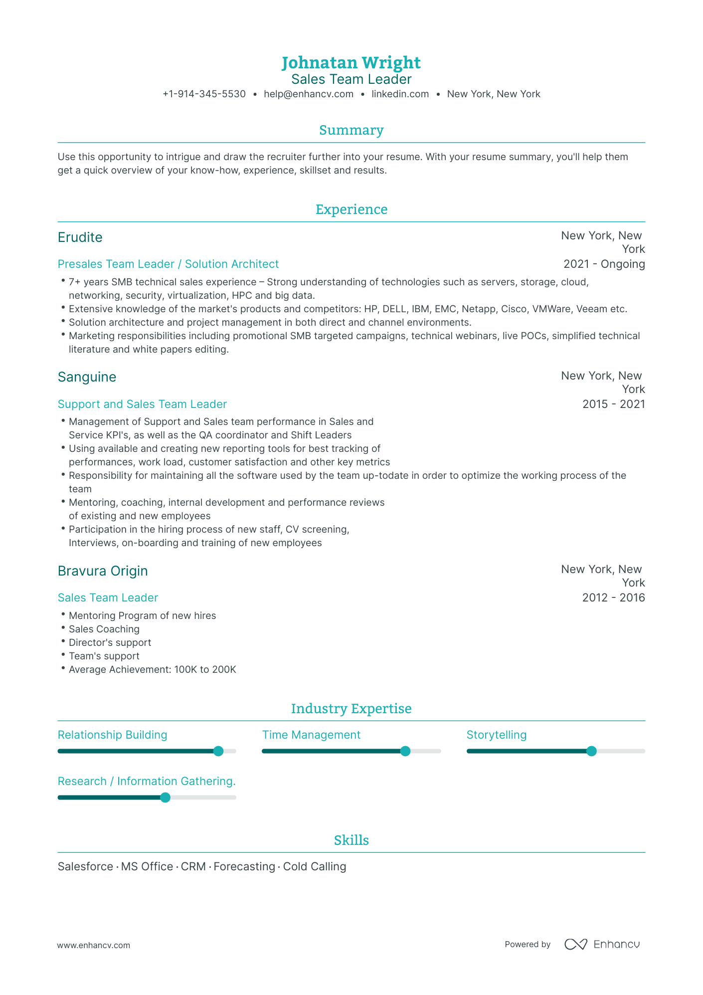 Sales Team Leader Resume Examples & Guide for 2023 (Layout, Skills ...