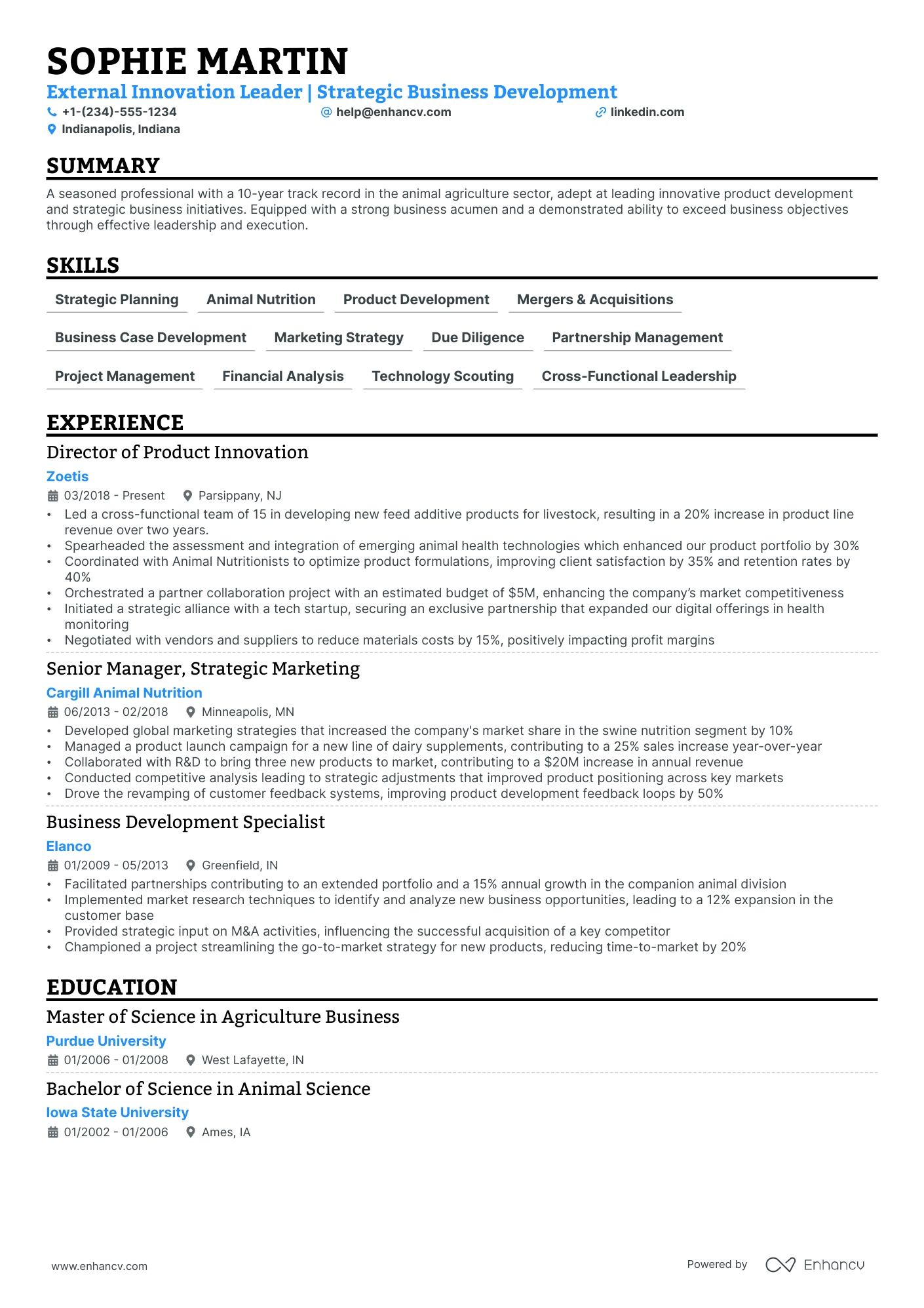 5 Executive Manager Resume Examples & Guide For 2024