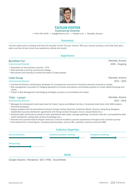 Commercial Director Resume Examples & Guide for 2023 (Layout, Skills ...