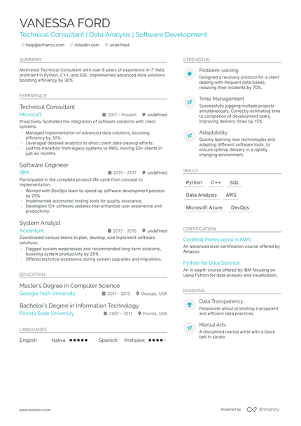 5 Technical Consultant Resume Examples & Guide for 2024