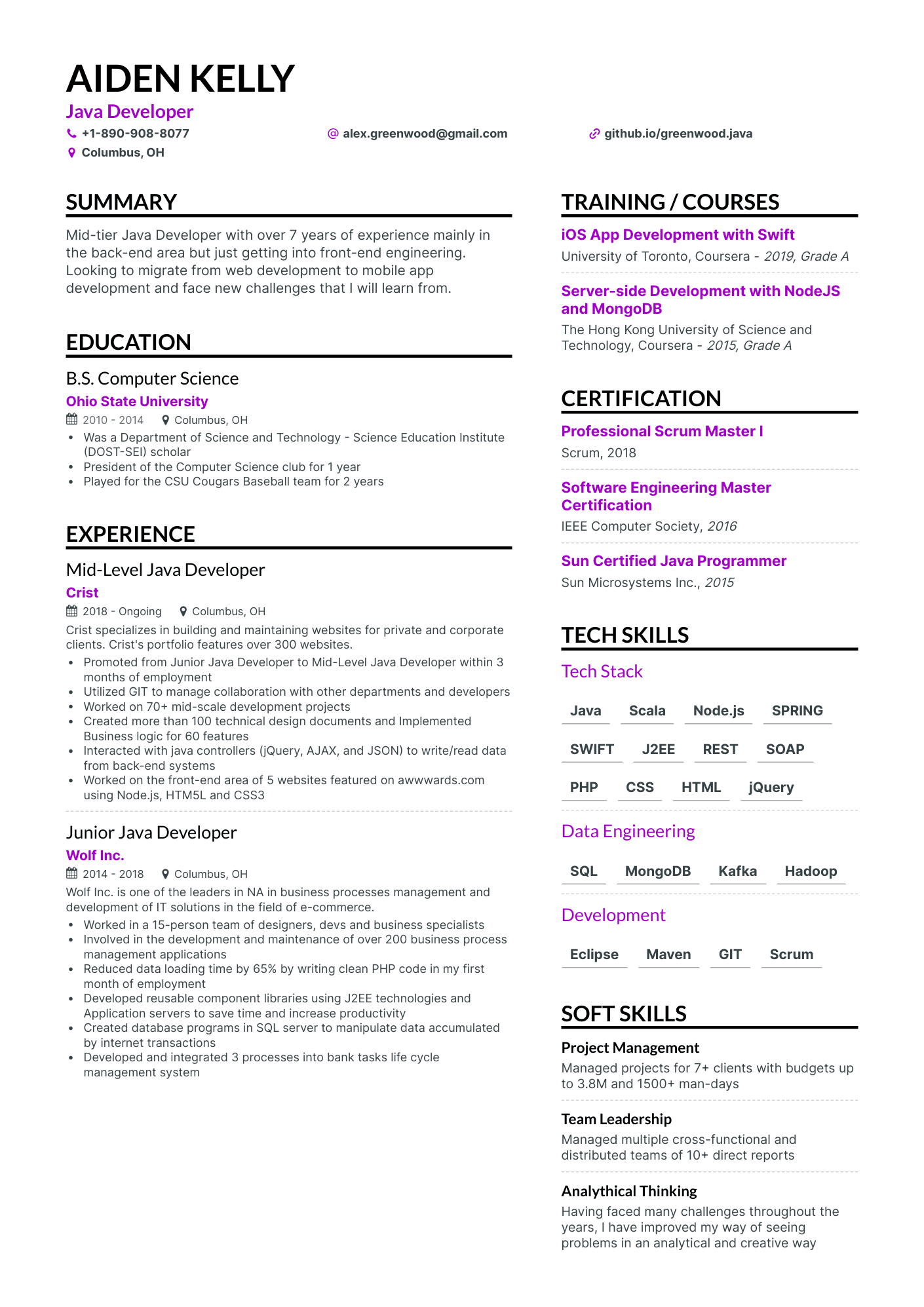 8 Java Developer Resume Examples & Guide for 2024