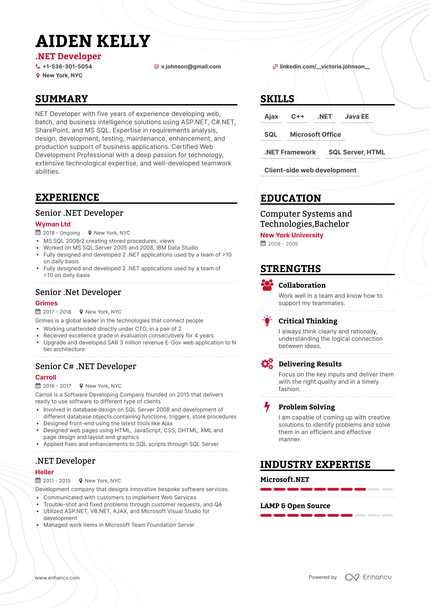 6 Net Developer Resume Examples & Guide for 2023