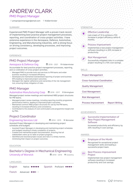 2 PMO Manager Resume Examples & Guide for 2023