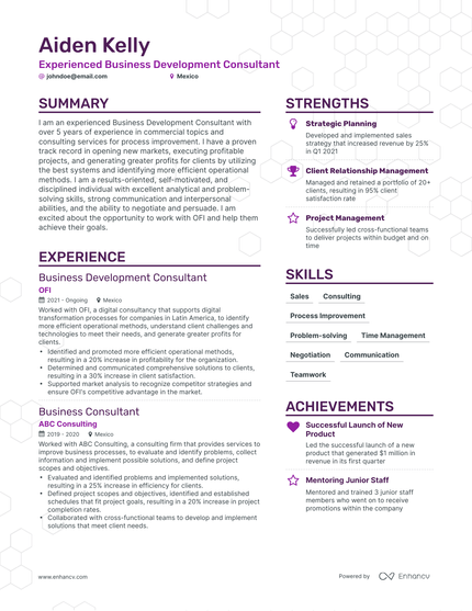 5 Business Development Consultant Resume Examples & Guide for 2024