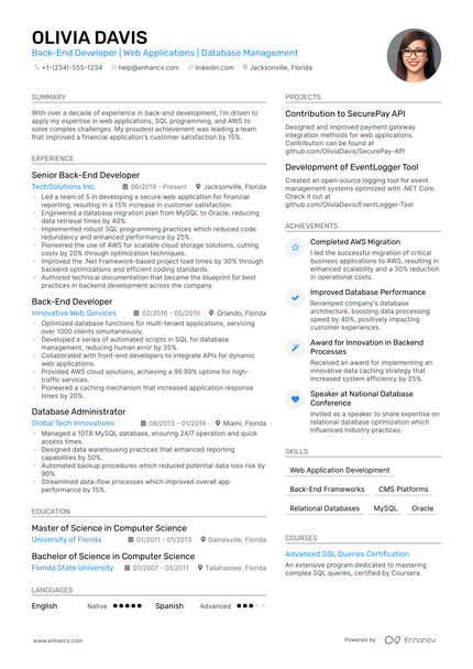 5 Freelance Developer Resume Examples & Guide for 2024