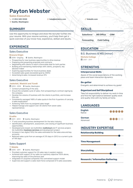 Sales Executive Resume Examples & Guide for 2023 (Layout, Skills ...