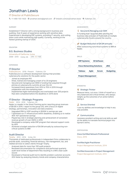 8 IT Director Resume Examples & Guide for 2024