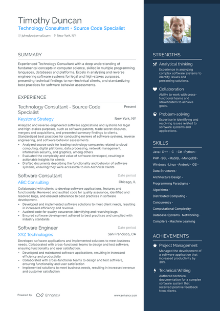 Technology Consultant resume example