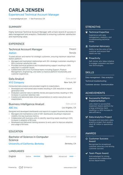 Technical Account Manager resume example