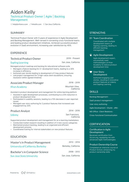 Technical Product Owner resume example