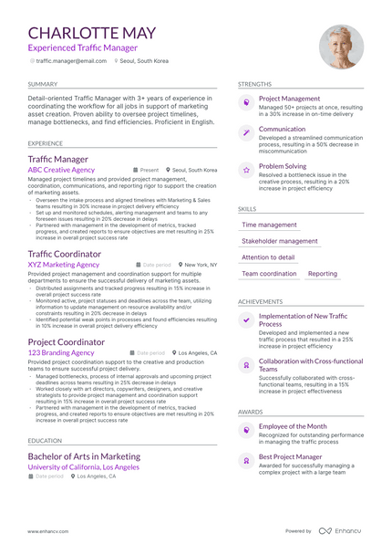 Traffic Manager resume example
