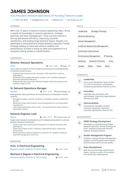 5 Vice President Resume Examples & Guide for 2023