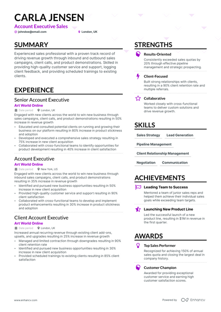 Account Executive Sales resume example