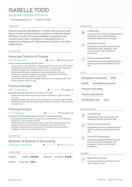 Associate Director resume example