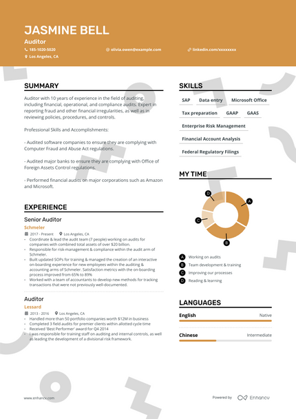 Auditor resume example
