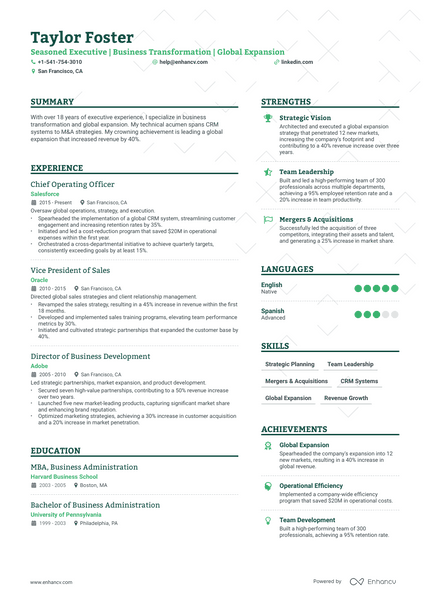 Chief Executive Officer resume example