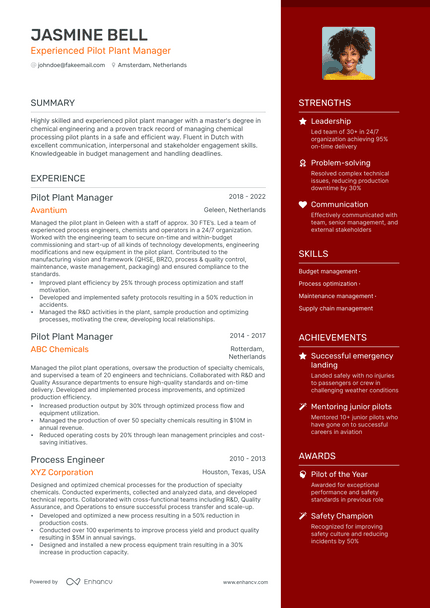Commercial Pilot resume example