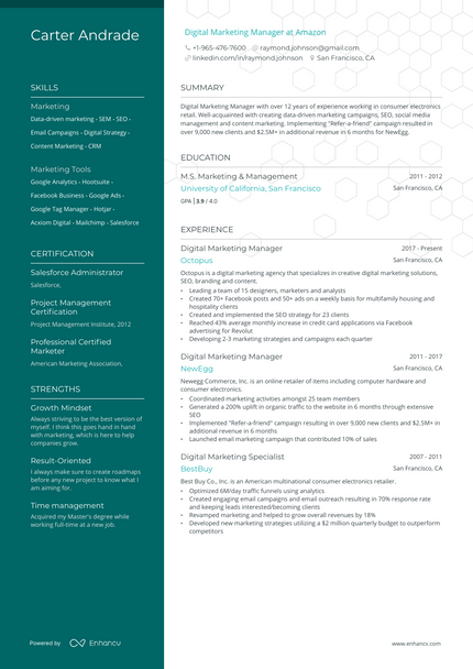 Digital Marketing Manager resume example