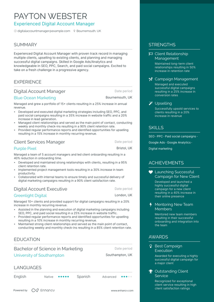 Digital Account Manager resume example