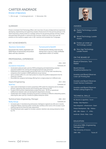 Director Of Operations resume example