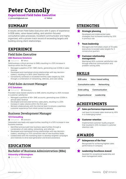 Executive Manager resume example