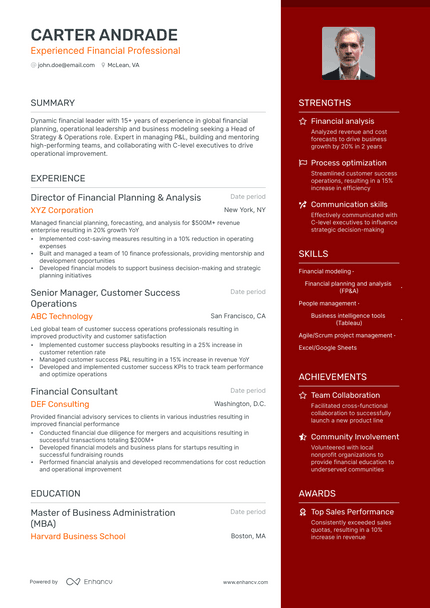 Financial Professional resume example