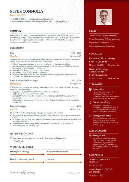 Fractional CEO resume example