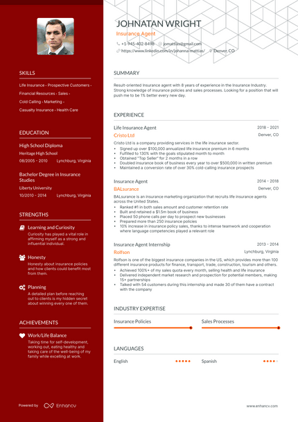 Insurance Agent resume example
