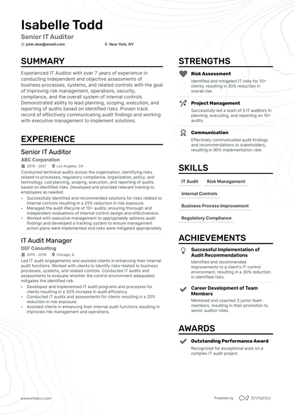 IT Auditor resume example