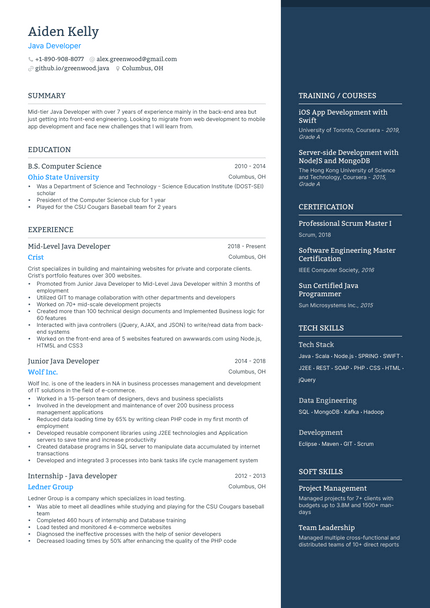 Java Developer resume example