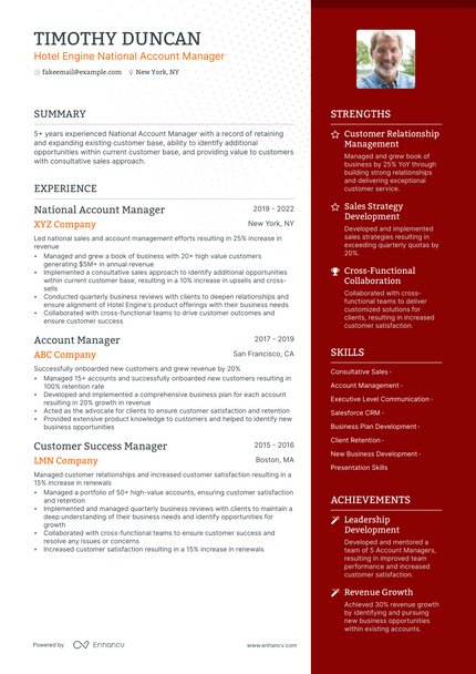 National Account Manager resume example