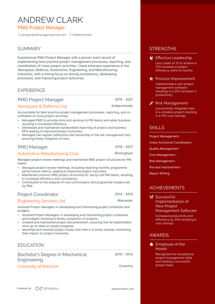 PMO Manager resume example