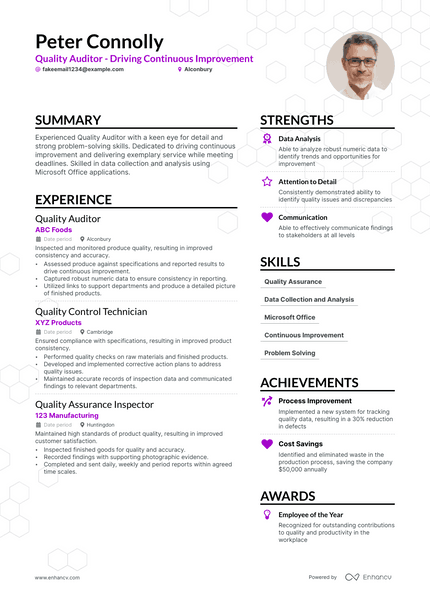 Quality Auditor resume example
