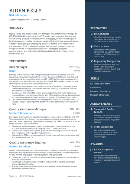 Risk Manager resume example