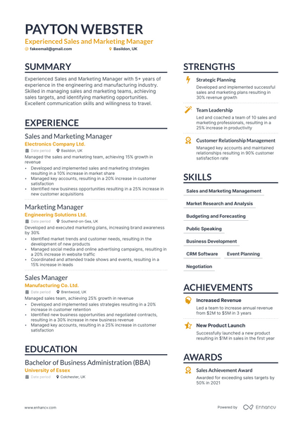 Sales Marketing Manager resume example