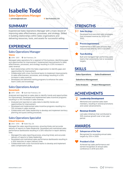 Sales Operations Manager resume example