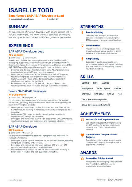 SAP Abap Developer resume example