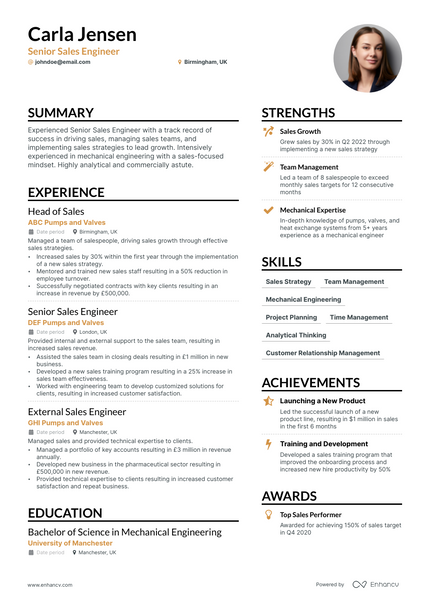 Senior Sales Engineer resume example